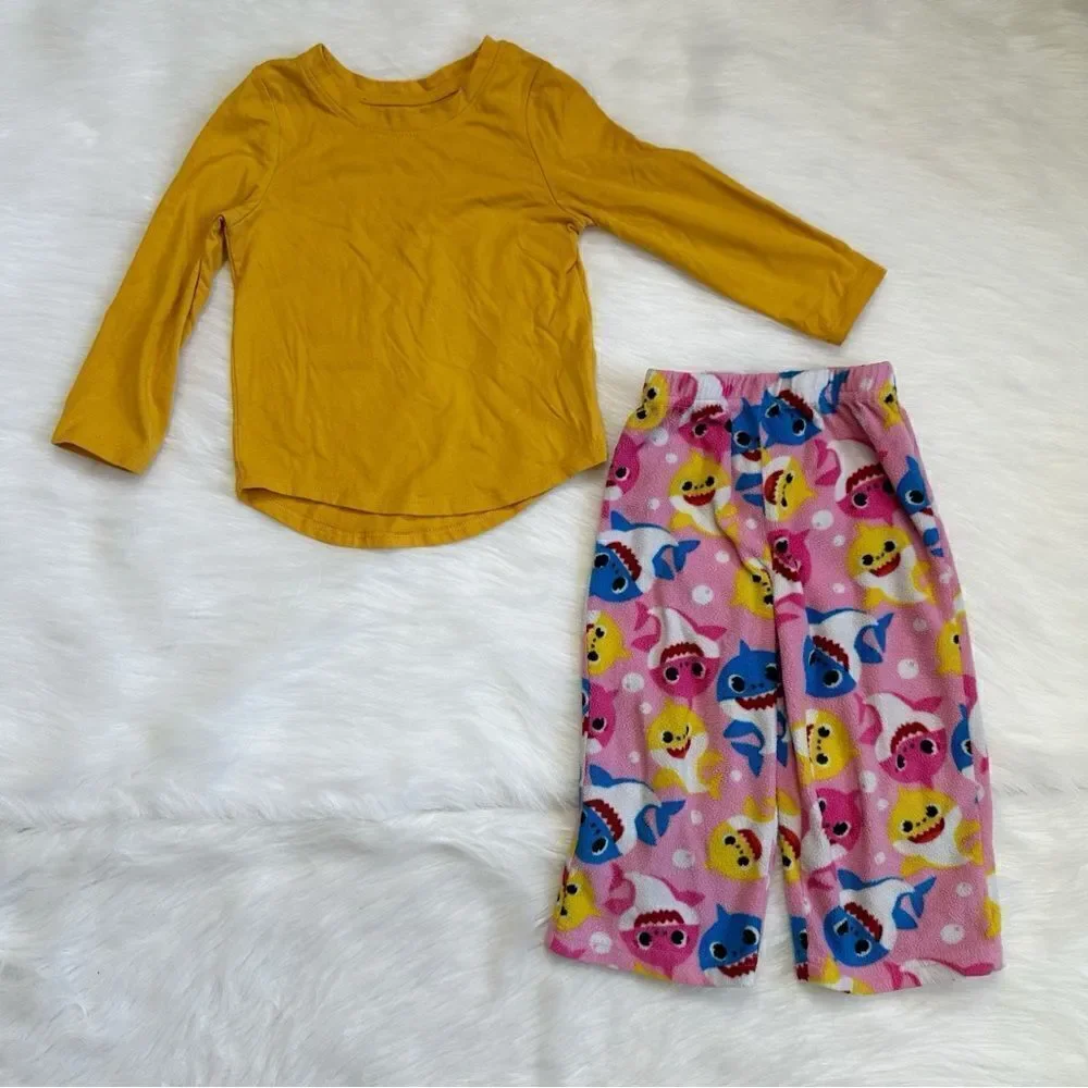 2T Baby Girl Fall/Winter Clothes LOT